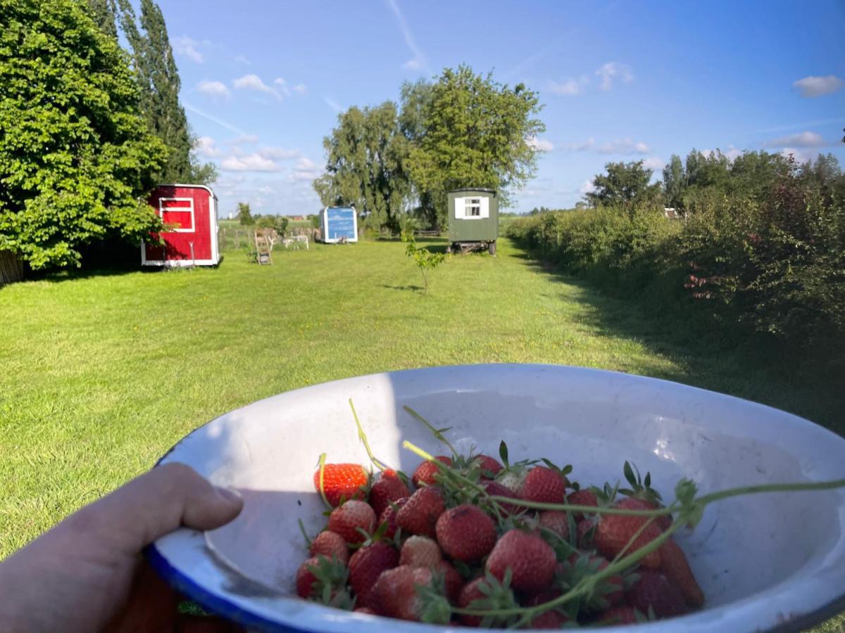 In De Wolf Hotell Watervliet Exteriör bild